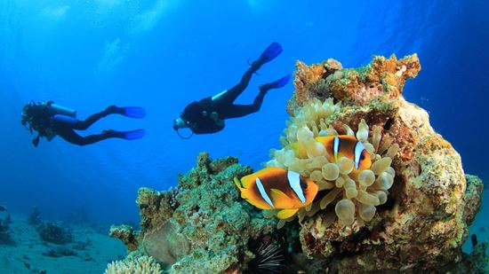 Scuba Diving Centre